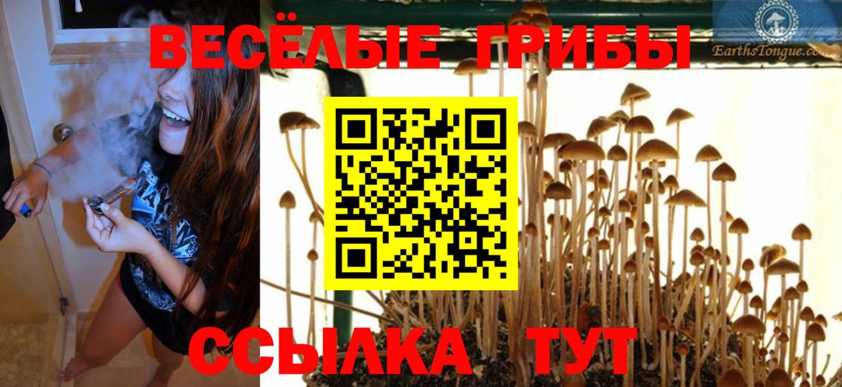 Мыски  Псилоцибиновые грибы MAGIC MUSHROOMS  Вход с VPN 