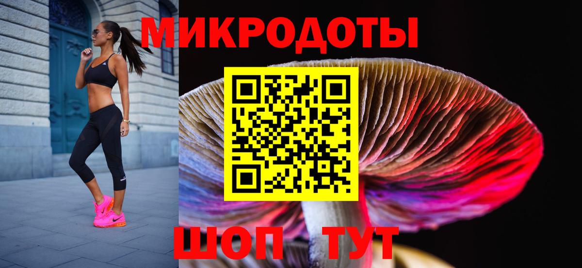 Псилоцибиновые грибы мицелий Мыски